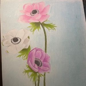 Meet your Posher, Kaitlyn